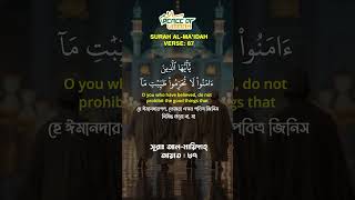 Surah Maidah Verse 87 | #quran #islamic#quotes #ytshorts #shorts #reels