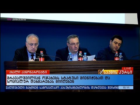 მრავალშვილიან ოჯახებს სტატუსი მიენიჭებათ და სოციალურ დახმარებას მიიღებენ