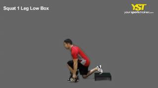 Celebrity Bulgarian Split Squat Low Box Net Worth