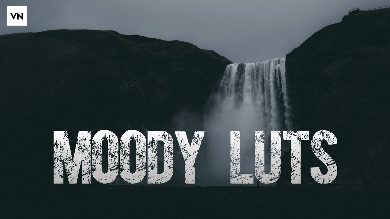 VN lut filter free download Moody lut pack Vn lut Vn video editor