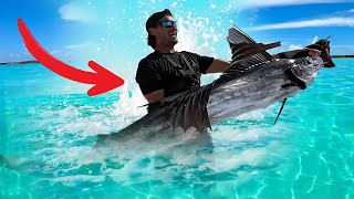 You can catch Sailfish on wire!