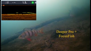 Зимняя рыбалка с камерой FocusFish и эхолотом Deeper Pro +