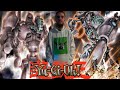 Yu-Gi-Oh! Ancient Gear Deck Profile December 2025 Featuring @unbeltedzombie