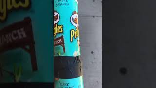 Pringles Can Camera Obscura
