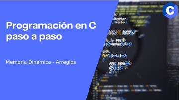 Arreglos con memoria dinámica