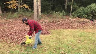 Sun Joe Raker Joe Leaf Scoops SJLS01 How To Blow Leaves With The Sun Joe Leaf Blower Shredder Vac