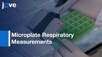 Microplate Respiratory Measurements by Isolating Mitochondria from SM | Protocol Preview
