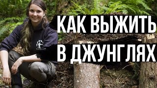 КАК Выжить В ДЖУНГЛЯХ?