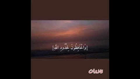 التائبون العابدون... القارئ/إسلام صبحي ✨