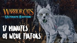 ✨ ABOUT 17 MINUTES OF WC:UE TIKTOKS THAT TIGERCLAW MURD3R3D REDTAIL FOR ✨ | #wcue #tiktoks