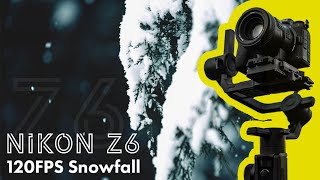 Nikon Z6 120FPS | Calming Snowfall by Lucas Moore 257 views 3 years ago 1 minute, 2 seconds