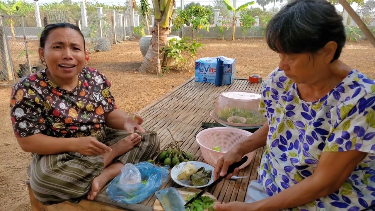 666. ភ្ញៀវត្រឡប់ទៅភ្នំពេញវិញហើយ Life in the Cambodian Countryside.