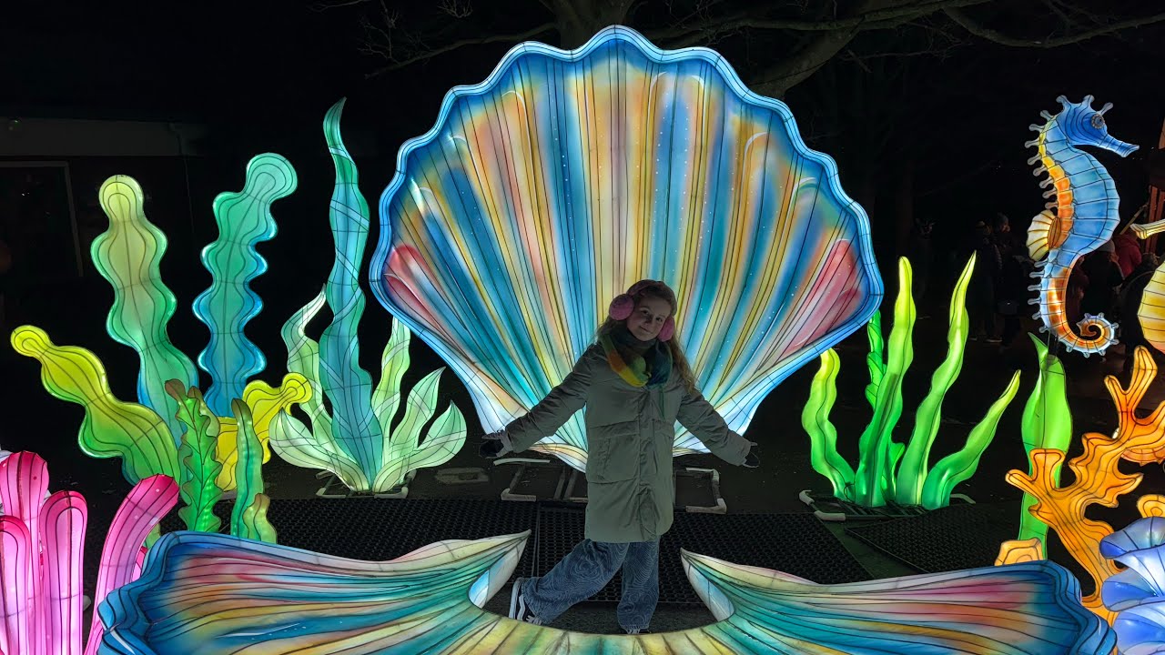 Giant Lanterns - Edinburgh Zoo 10/01/26