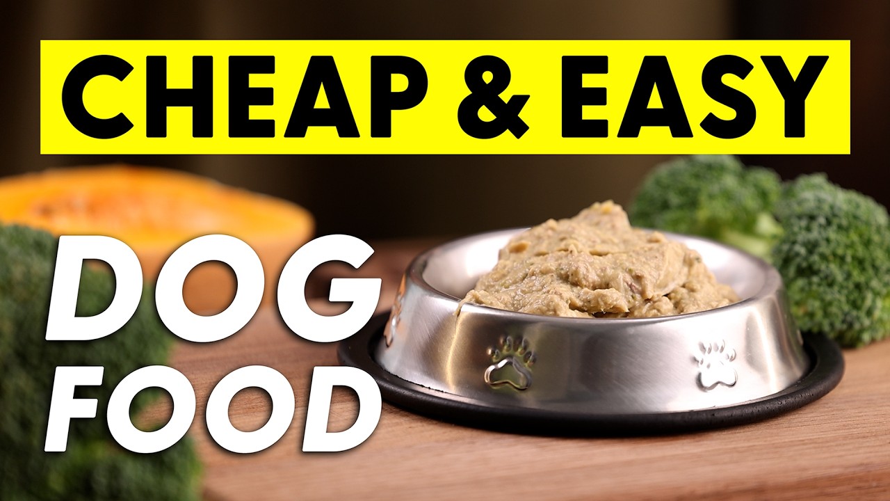 How To Make: The Most BASIC Chicken Recipe for DOGS - YouTube
