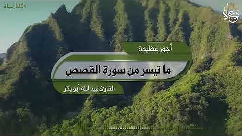 ما تيسر من سورة القصص /القارئ عبد الله أبو بكر
