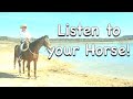 Listen to your horse!