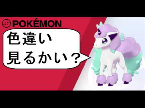 ポニータ ギャロップ 色違いポケモン紹介 ポケモン剣盾 Youtube