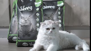 Skoon Cat Litter: The Ultimate EcoFriendly Choice? | Detailed Review