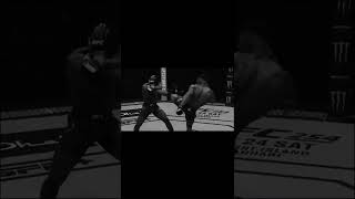 Best UFC KO/TKO Part 8 #ufc #mma #kickboxing #muaythai #fight #khabib #conormcgregor #trending