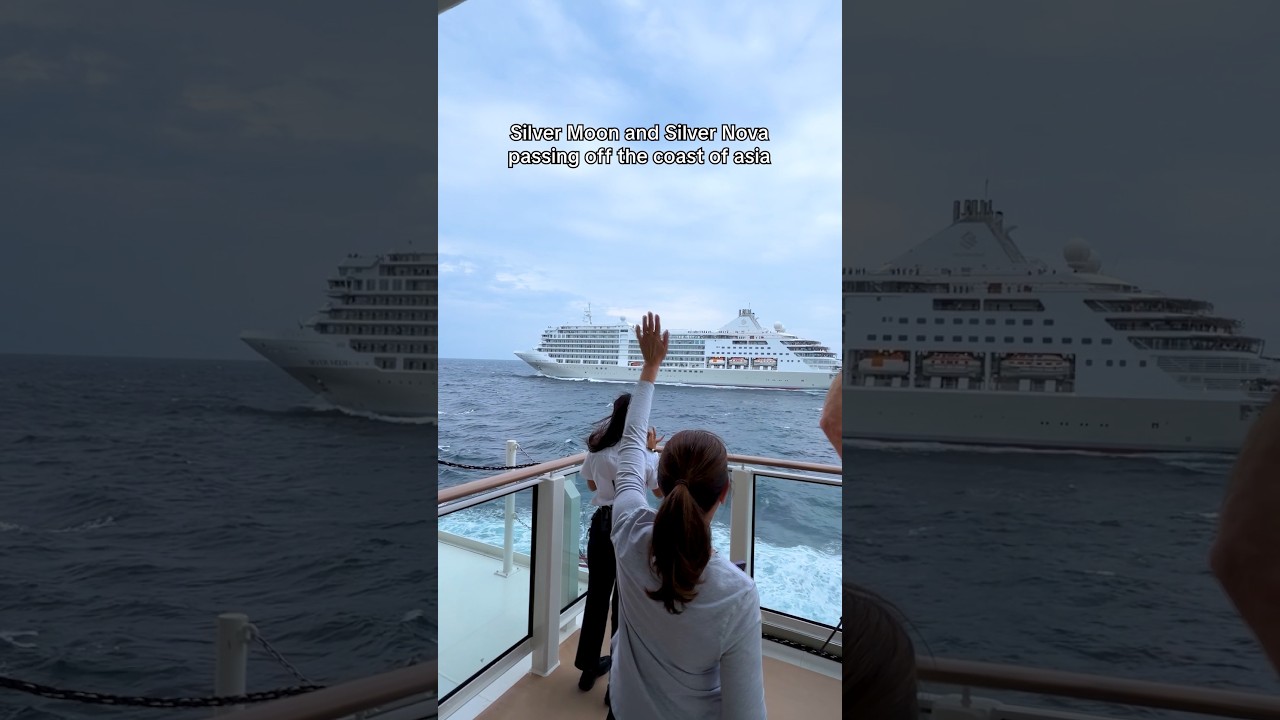 What It Looks Like When Two Cruise Ships Cross Paths at Sea​  ​