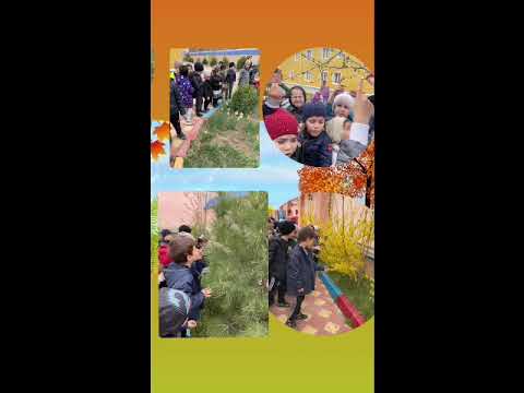 Фестиваль "Праздник Эколят - молодых защитников природы"