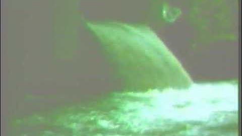 Milwaukee Combined Sewer System 1964 Water Pollution Report US Senate Committee on Public Works