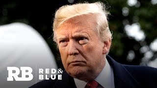 Celebrity Senate to vote on 2 competing plans to end shutdown Net Worth