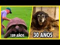 Cosas Que No Sabías | Animales Más Longevos De La Historia | SoyCorraje