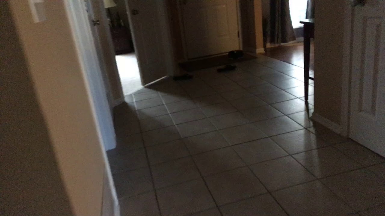 camera iphone 8 plus apk A Subway Train Craziness Update.