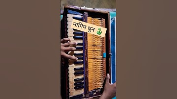 Nagin dhun #musicshorts #Harmonium @Musical_Harmonium