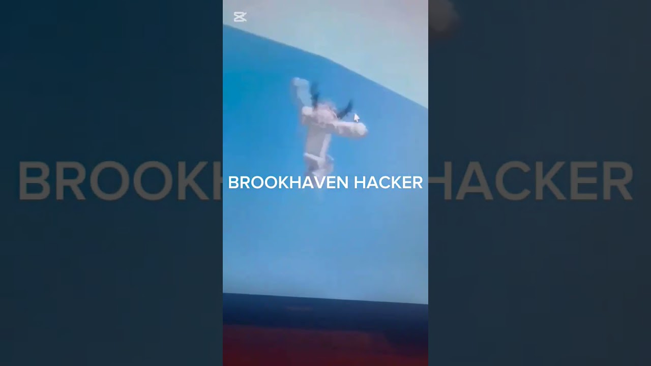 BROOKHAVEN hacker 