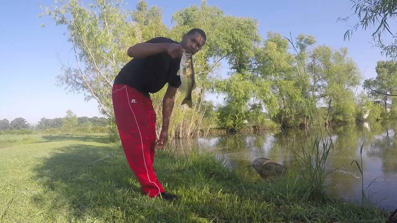 Weight Less Sanko Fishing with senko Wacky-Style and Weightless Texas Rig. - YouTube