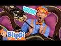Snake Adventure With Blippi and Meekah! | Learning About Animals | Educational Videos For Kids