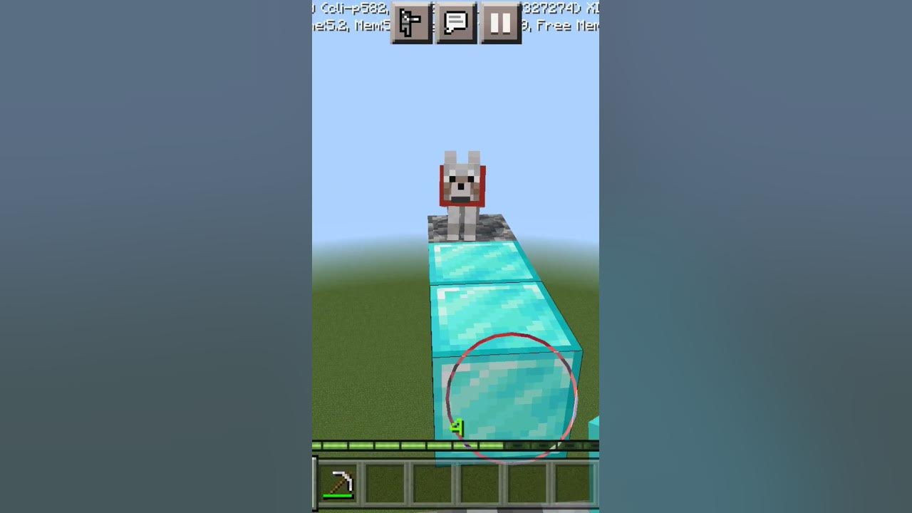 always-help-a-dog-in-minecraft-shorts-youtube
