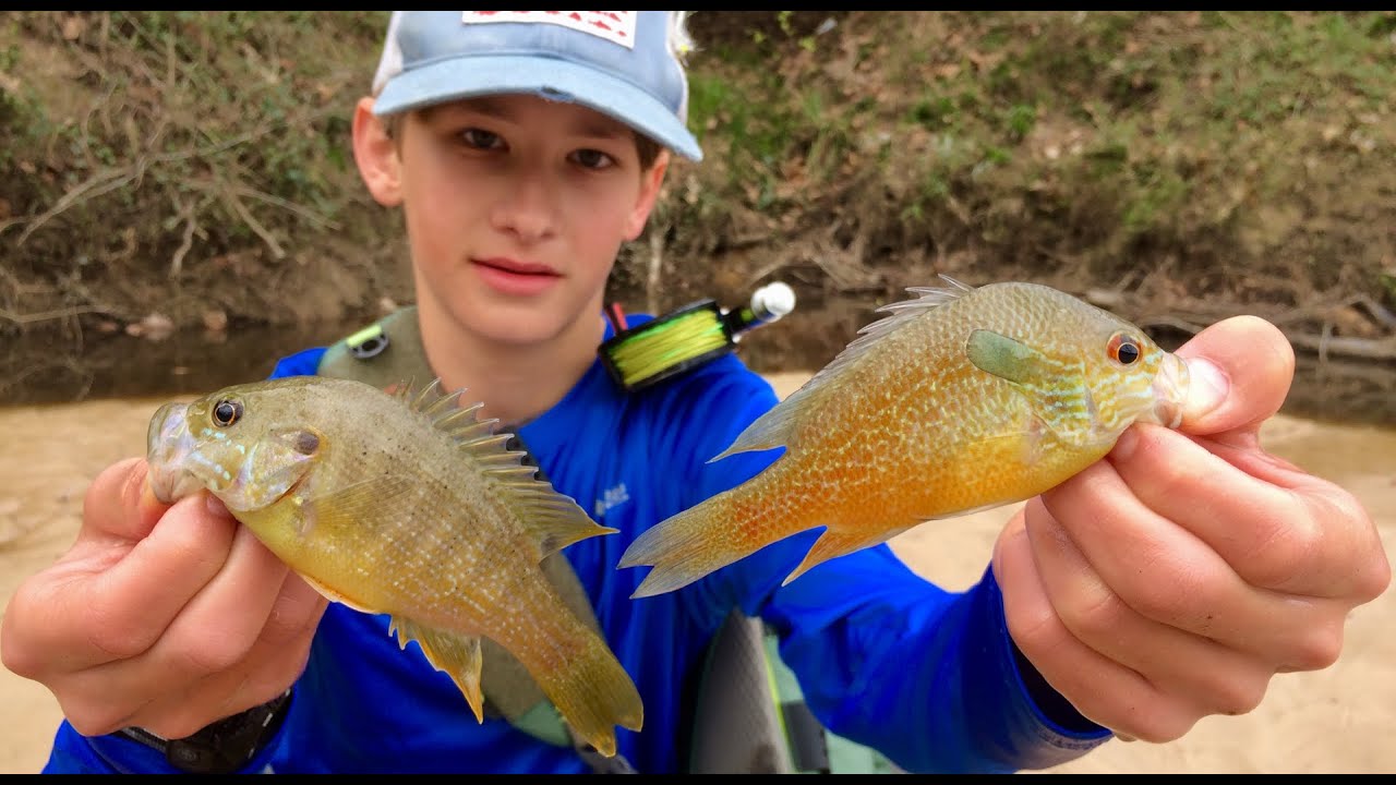 Fly Fishing in Houston (multispecies) YouTube