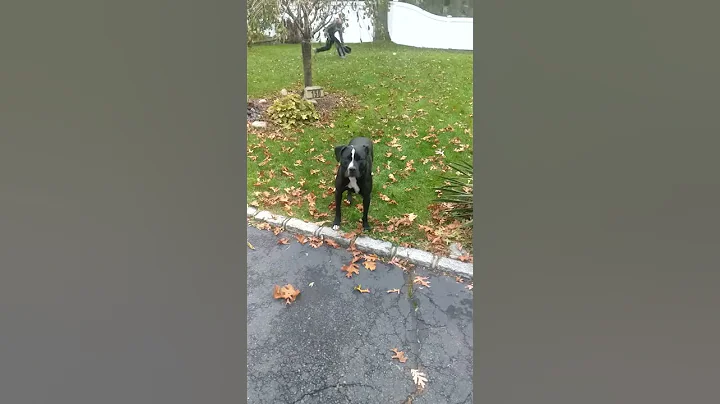 I got it... I got it