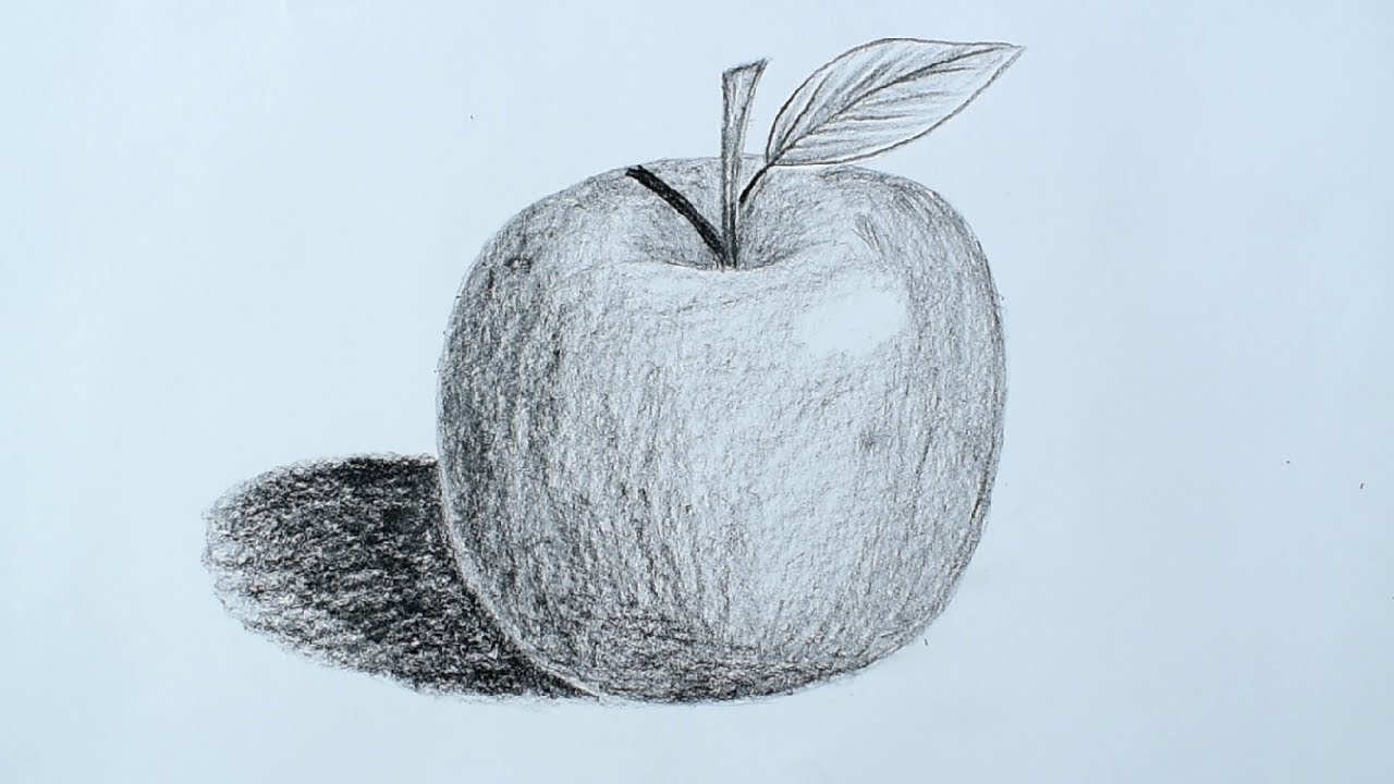 How to draw an apple with pencil - pencil sketch