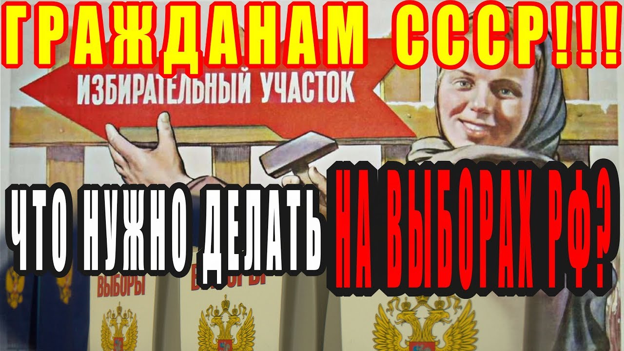 Спойлер на выборах это