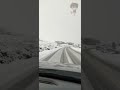 Road trip in Scotland during snow time #shorts #short #scotland  #nessi  #snow #roadtrip #snowfall