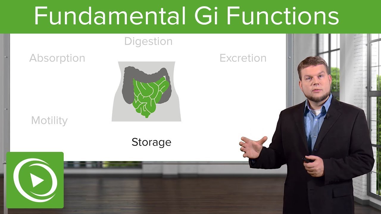 ⁣Fundamental Gi Functions – Physiology | Lecturio