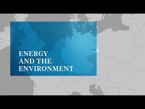 Video: Il Ruolo Della Bioenergia Nell'energia Tedesca 