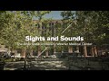 Sights and sounds the ohio state university wexner medical center