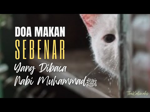 Video: Adakah perkataan yang mencukupi?