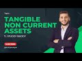 Tangible Non Current Assets