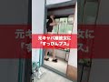 元キャバ嬢彼女に「すっぴんブス」と言ってみたら… #shorts