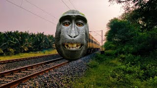 Funny Gorilla Train | Dheeran Kid | Funny Train Videos | @Gondezz | 53 |