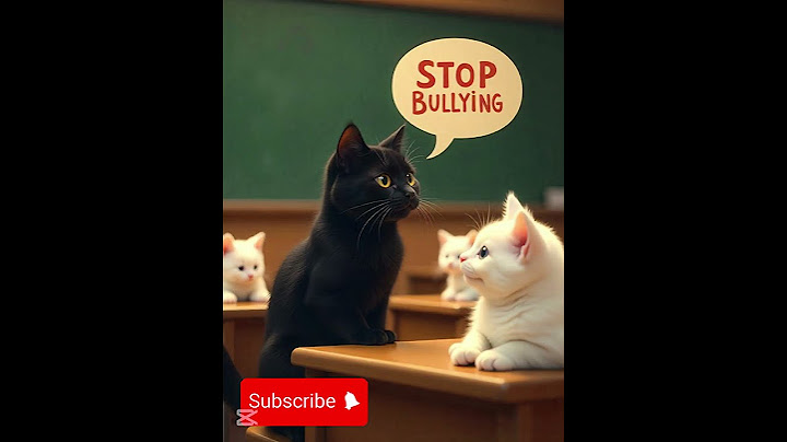 Black Kitten Was Bullied Because Of His Color, He Just Want To Have A Friend #shorts #cat #aicat