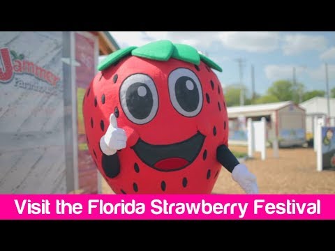 Florida Travel: A Guide to the Florida Strawberry Festival, Plant City