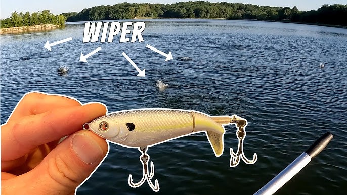 Testing the River2Sea Whopper Plopper 75 - (Easy Topwater for Beginners) 