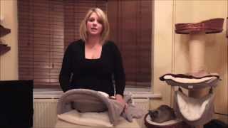 Cats, Cat Beds, Cat Bed, Tigga Towers Cat Bed